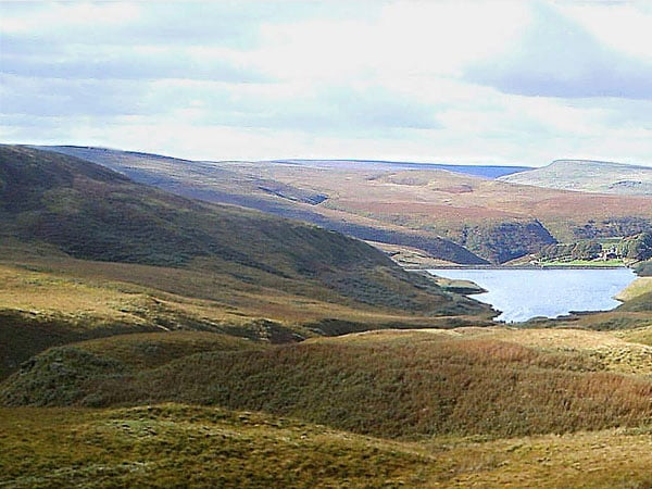 caccia alle beccacce in Scozia Sassetti Country Sports